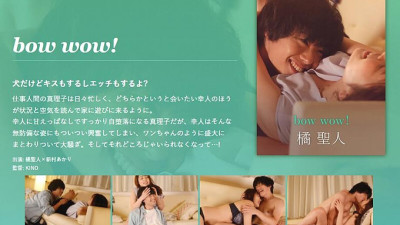 SILKC-240 bow wow! -Saint Tachibana-