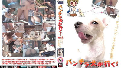 PUROD-072 Panchira dog goes! Vol.2
