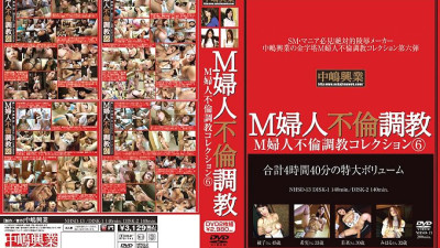 NHSD-013 M Woman Affair play Collection 6