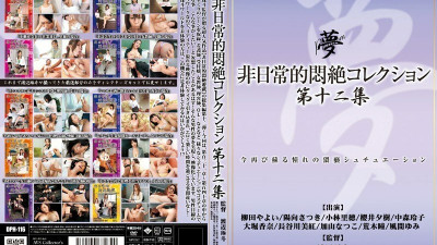 DPH-116 Extraordinary Agony Collection Vol.12