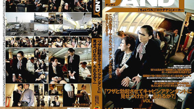 DANDY-079 If I make you erect on purpose and show it to the flight attendant, will you be able to do it?