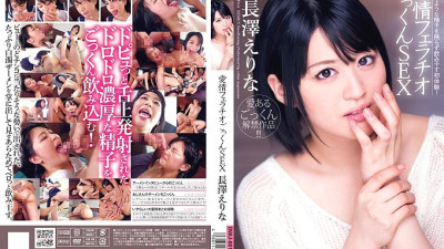 DVAJ-014 Loving blowjob and swallowing sex Erina Nagasawa
