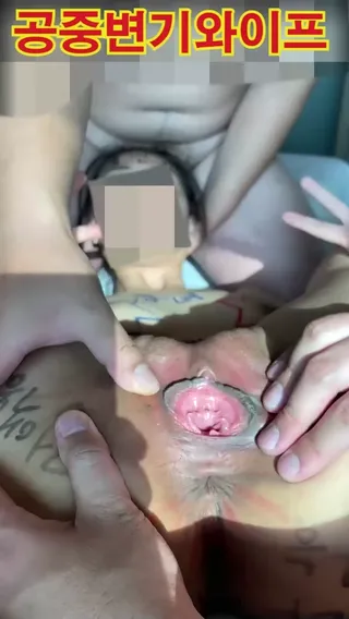 레전드 명작 공중변기 와이프 3