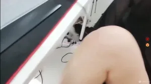 생방에서 질싸까지 조지노