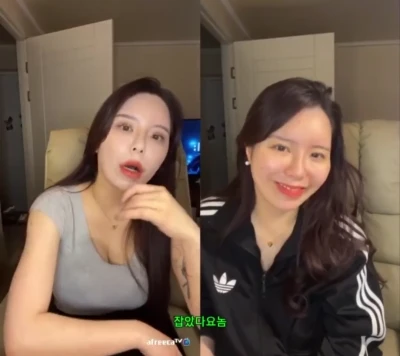 잡았다 요놈 일탈 여캠모음