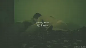월세 대신 떡으로 월세받아가는 건물주.... 키스방건물주/질싸 서비스 해주는 키스방 혜진이