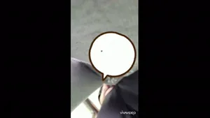 멀티방_아디다스 반바지녀 간단