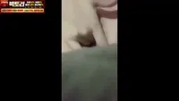 반려자위견 을이용한 자위